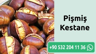 Pişmiş Kestane